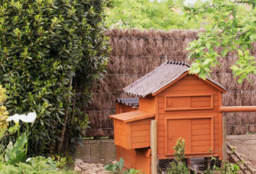 cabanes à poules